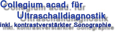Bei Ultraschalluntersuchungen werden schnell und ungefährlich Informationen über Erkrankungen oder Organveränderungen gewonnen